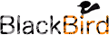 BlackBird V2