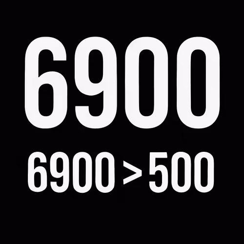 S P X 6 9 0 0