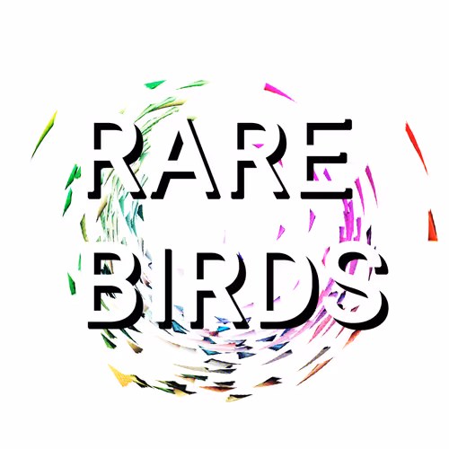 Rare Birds in Flight