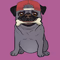 Badass Pugs