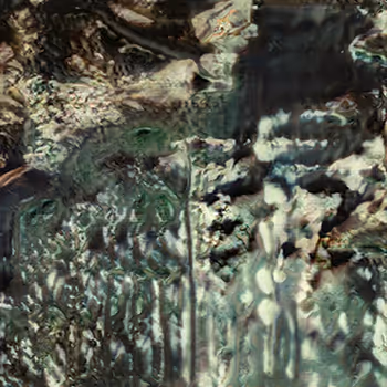 Untitled Film Stills by Casey REAS