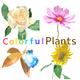 Colorful Plants