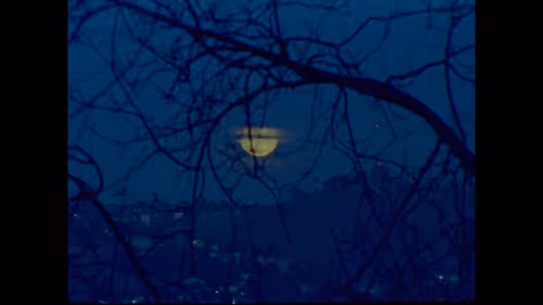 Waabanishimo: Miigaazh (She Dances Till Daylight: Fight) by Eve-Lauryn LaFountain