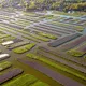 Dutch Flavours