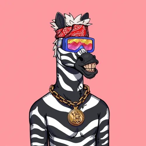 Cool Zebras Club