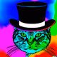 Cat in a (top) hat