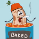 The Baked Bean Society.