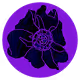 Crypto Blossom