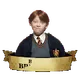 Harry Potter.