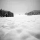Sound  of  Silence