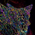 Evolution_drawings-series