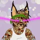 Badazz Bobcatz