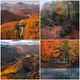 Editions of the SEASONS by Brayden Hall