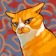 Everything Cat