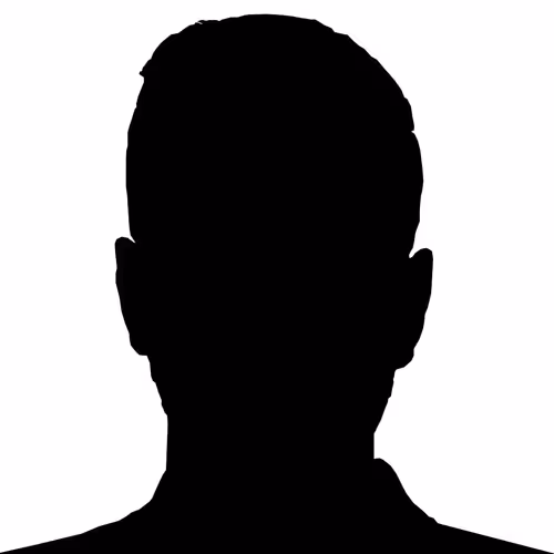THE SILHOUETTE