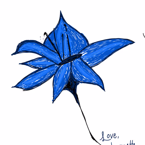 Untitled Sketches
