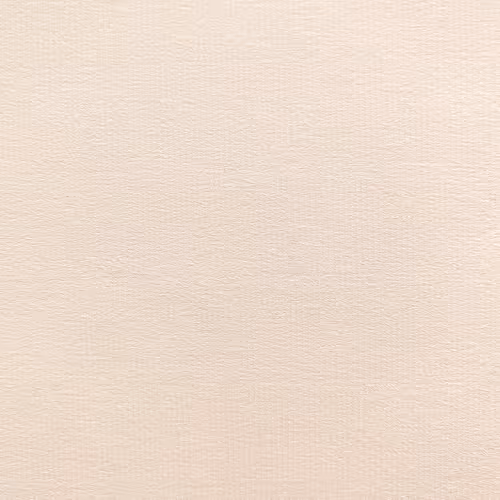 Faith Loves editions