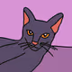 lazyCRYPTOcat
