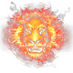 UniqueCriptoLion NFT