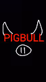 PIGBULLS
