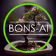 BONS-AI NFT Collection