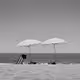 MONOCHROMES by Alberto G. Puras