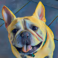 Frenchieart - old