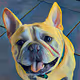 Frenchieart - old