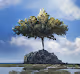 Zen Tree