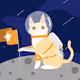 CATsegory