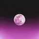 A Journey To The Moon
