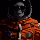 Astronauta Test 001
