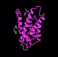 BIONFT Human protein