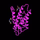 BIONFT Human protein