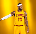 The LeBron James Collection