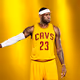 The LeBron James Collection