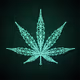 ogcannabis.eth