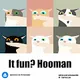 It fun? Hooman - old