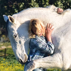 Happy Horses V3 - old