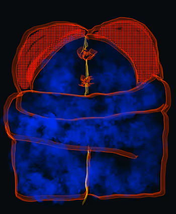 Hafftka Homage to Brancusi