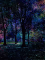 Abductions in Reality