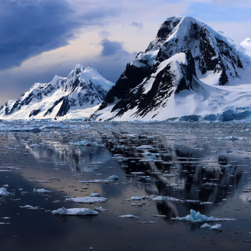 Bluebird Photography