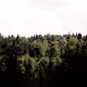 Silent Moments