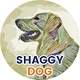 Shaggy Dog Collection