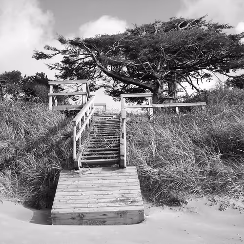 Mediocre Photography For Your Metaverse Motel