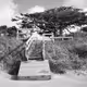 Mediocre Photography For Your Metaverse Motel