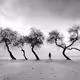 Emotions in BW