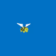 Small Turtles with Wings Official