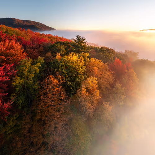 Editions - Steph Rapo