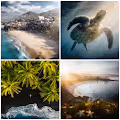 Ocean Origins